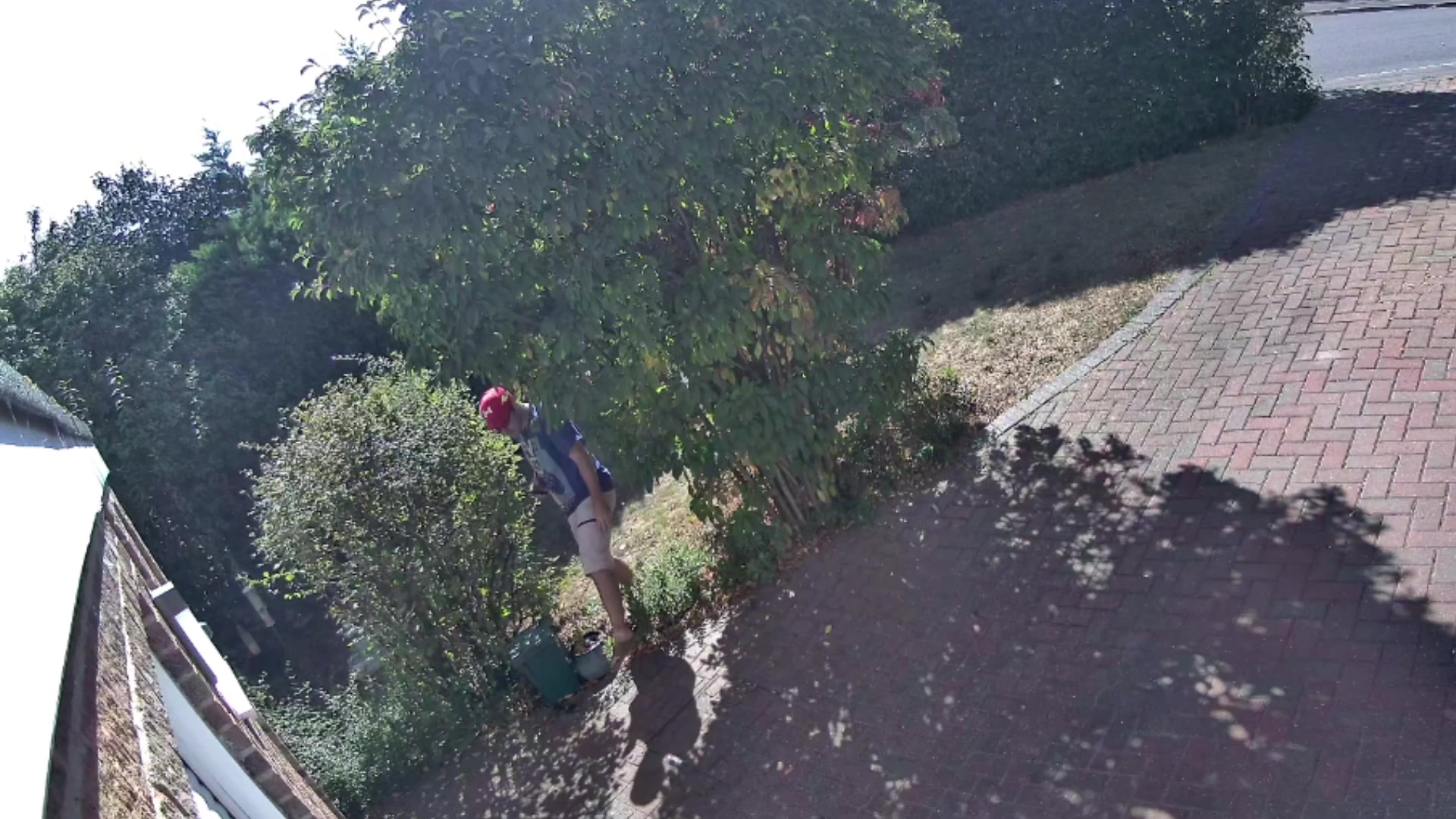 Frigate Configuration for the Duo 3 PoE demonstration at 497.0s