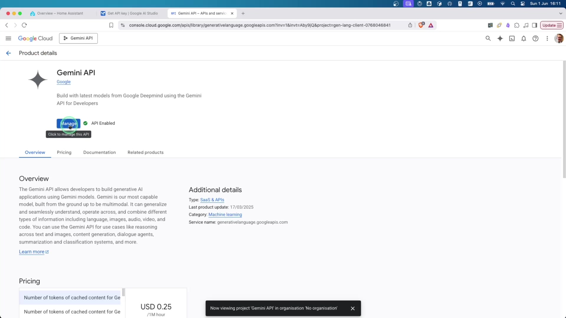 Getting Started: Google Cloud and Gemini API Setup demonstration at 66.0s
