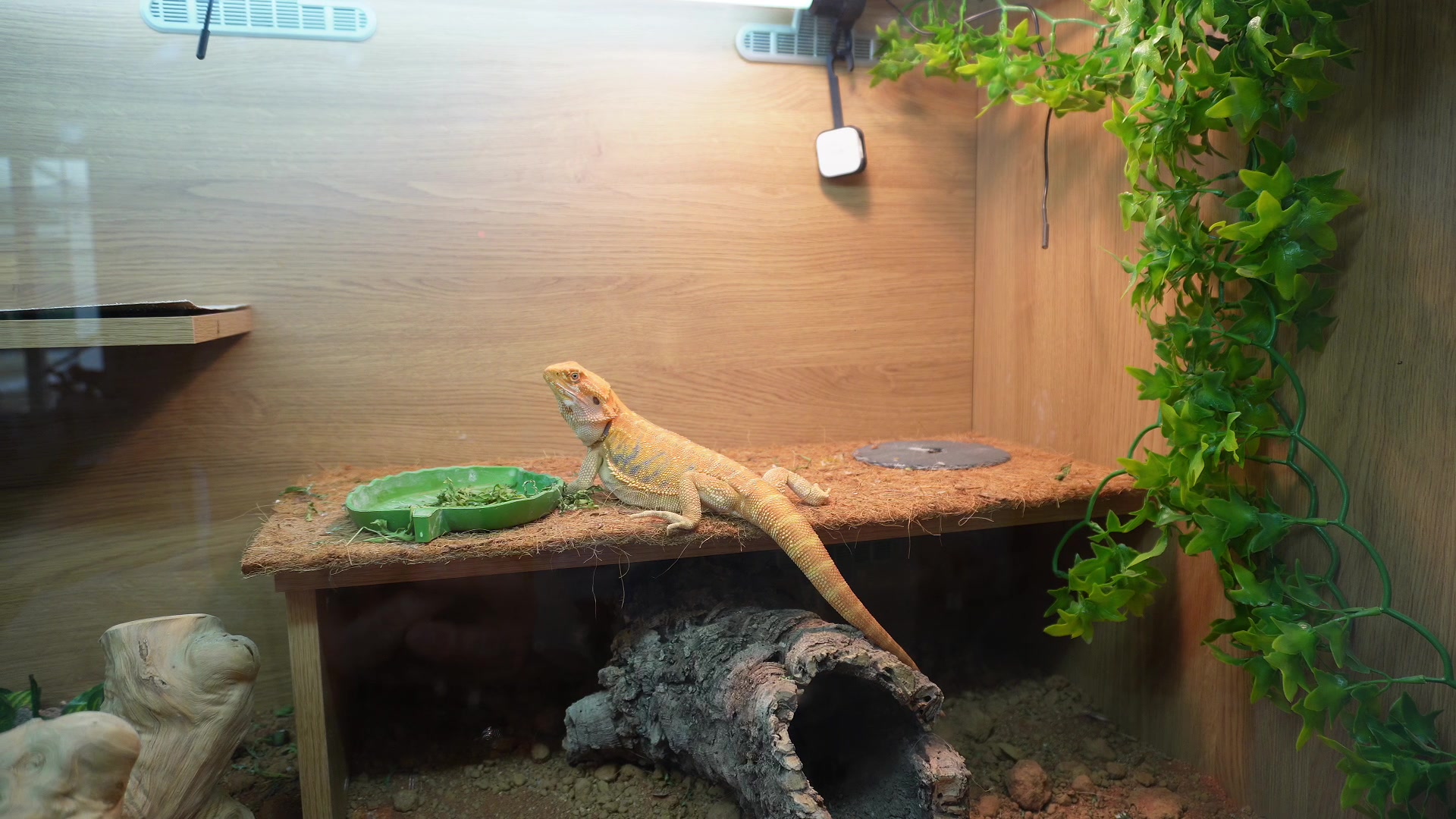 Exploring Secondary Dashboard Tabs (Mobile-Optimized) demonstration at 407.0s