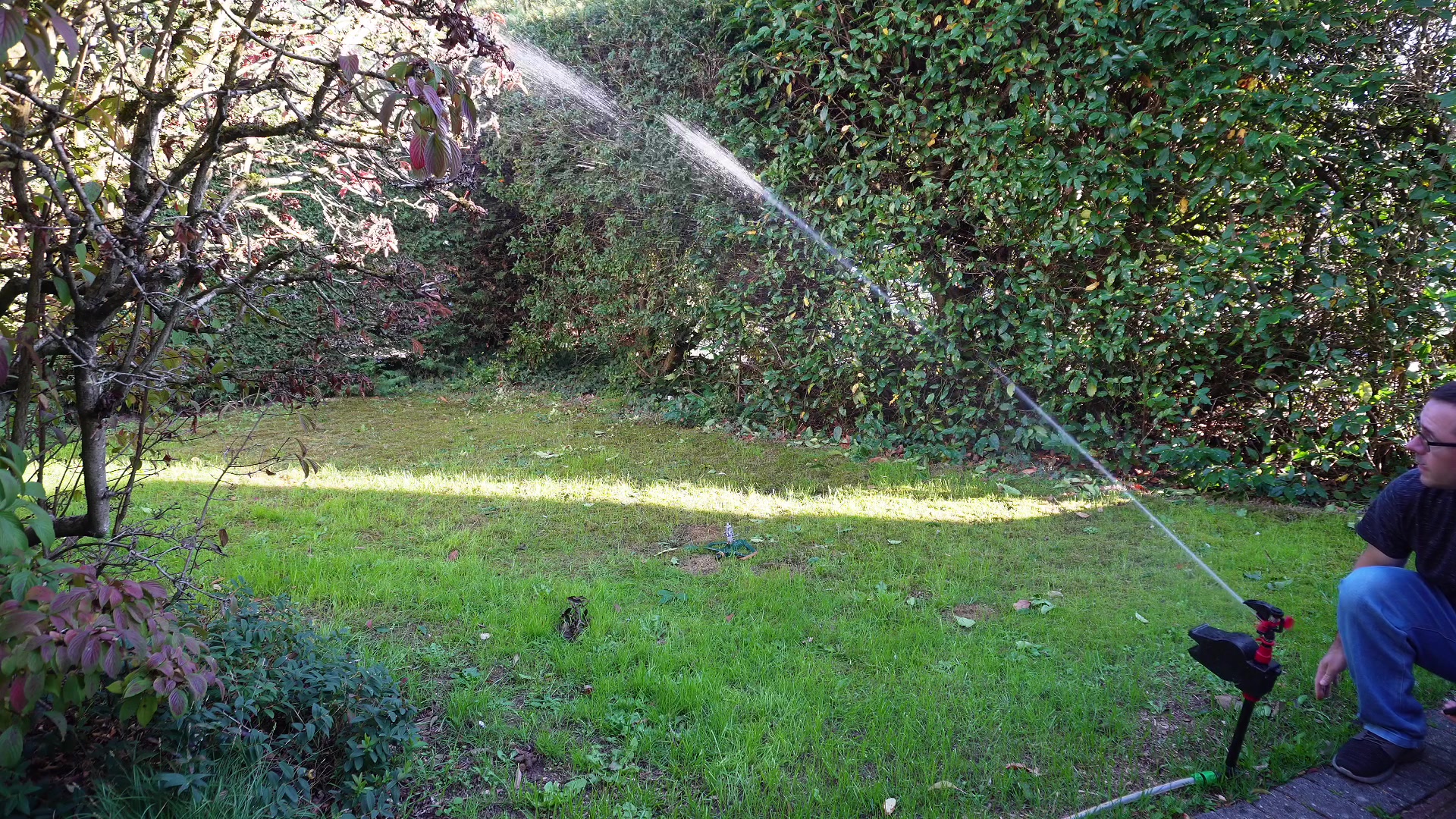 Early Attempts and Their Limitations demonstration at 99.0s