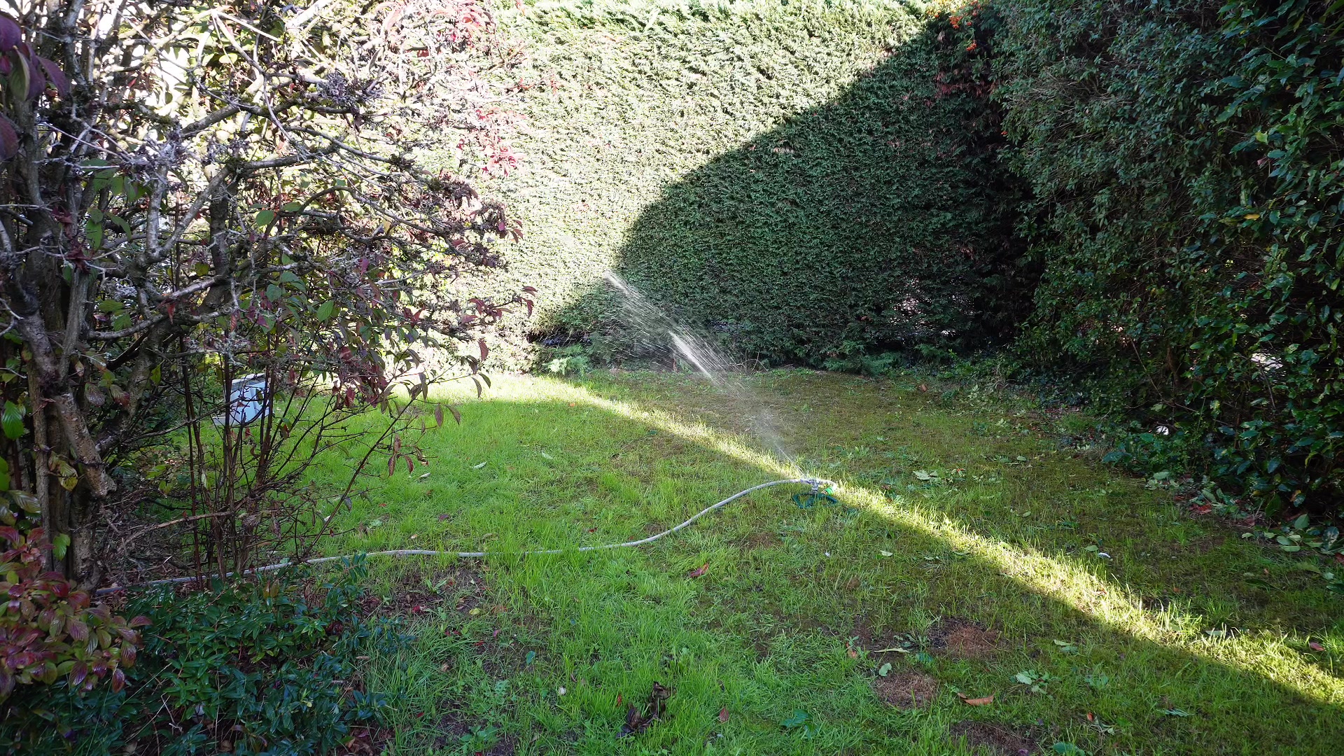 The Unpredictable Sprinkler Solution demonstration at 170.0s