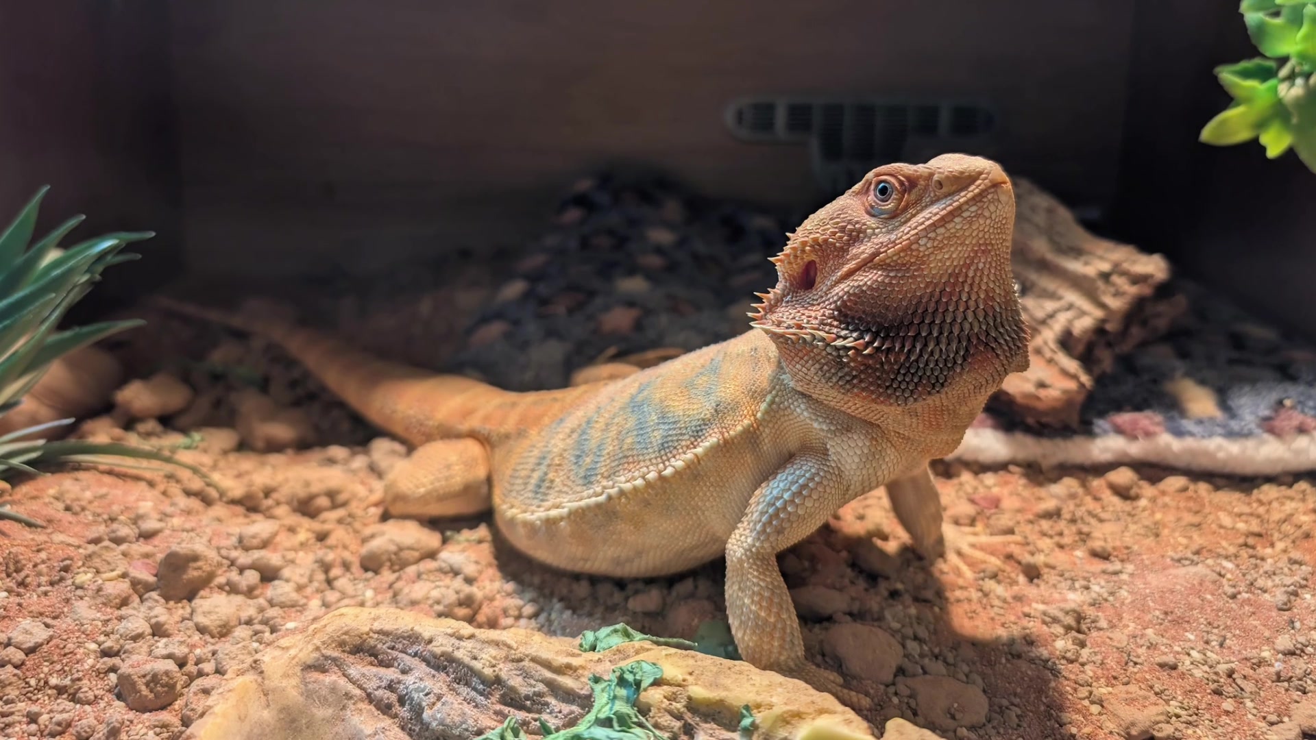 Scheduled Maintenance and Power Monitoring Triggers demonstration at 413.0s